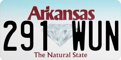 AR license plate 291WUN