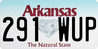 AR license plate 291WUP
