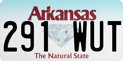 AR license plate 291WUT