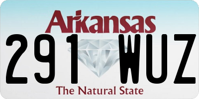 AR license plate 291WUZ