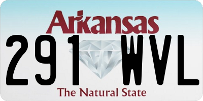 AR license plate 291WVL