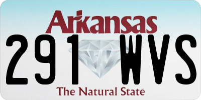 AR license plate 291WVS