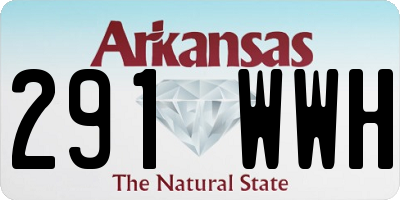 AR license plate 291WWH