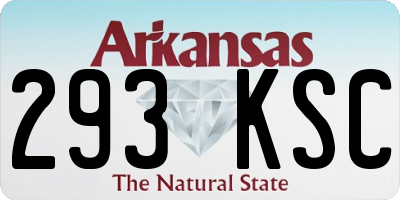 AR license plate 293KSC