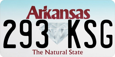 AR license plate 293KSG