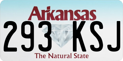 AR license plate 293KSJ