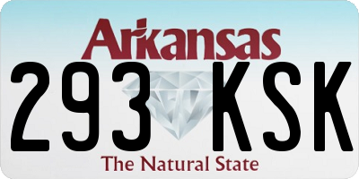 AR license plate 293KSK