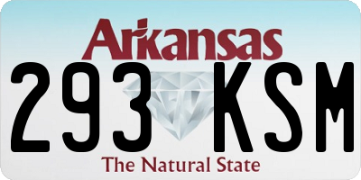 AR license plate 293KSM