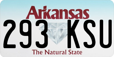 AR license plate 293KSU
