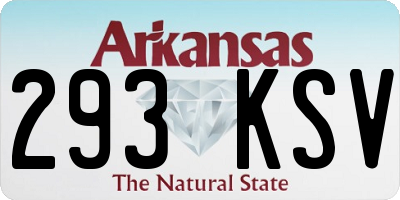 AR license plate 293KSV