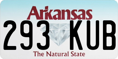 AR license plate 293KUB