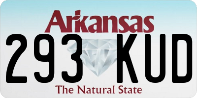 AR license plate 293KUD