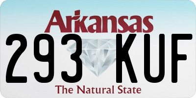 AR license plate 293KUF