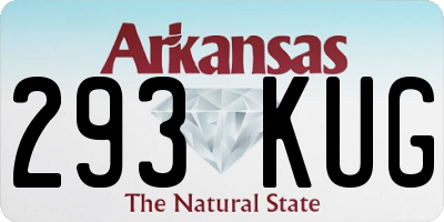 AR license plate 293KUG