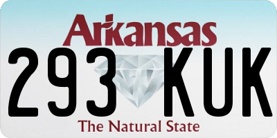 AR license plate 293KUK