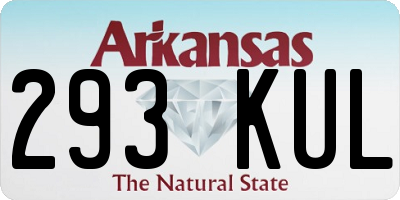 AR license plate 293KUL