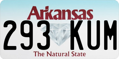 AR license plate 293KUM