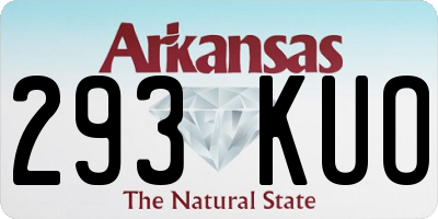 AR license plate 293KUO