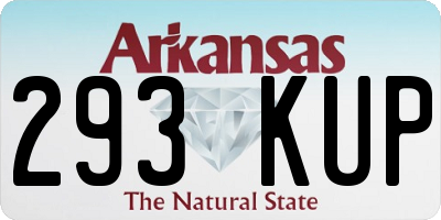 AR license plate 293KUP