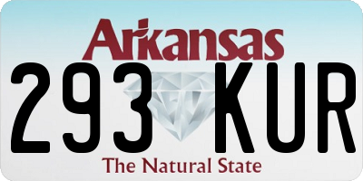 AR license plate 293KUR