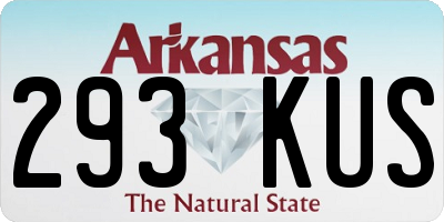 AR license plate 293KUS