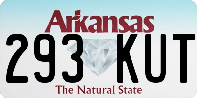 AR license plate 293KUT