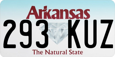 AR license plate 293KUZ