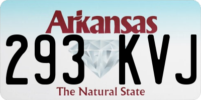 AR license plate 293KVJ