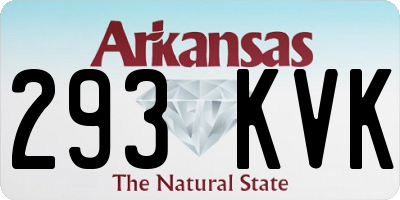 AR license plate 293KVK