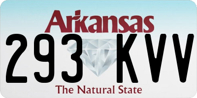 AR license plate 293KVV
