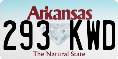 AR license plate 293KWD