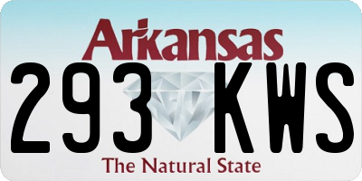 AR license plate 293KWS