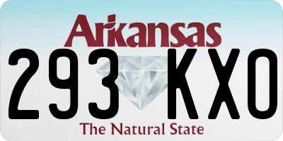 AR license plate 293KXO