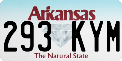 AR license plate 293KYM