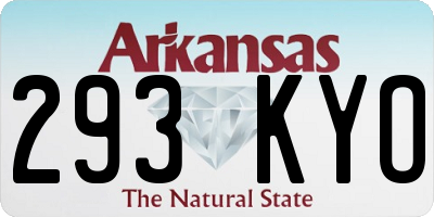 AR license plate 293KYO