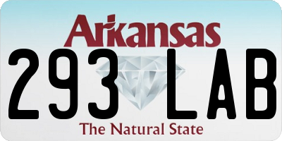 AR license plate 293LAB