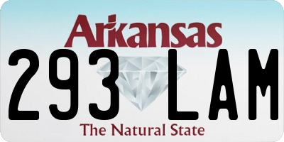 AR license plate 293LAM