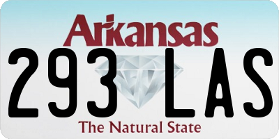 AR license plate 293LAS