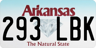 AR license plate 293LBK