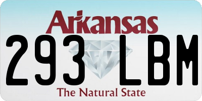 AR license plate 293LBM