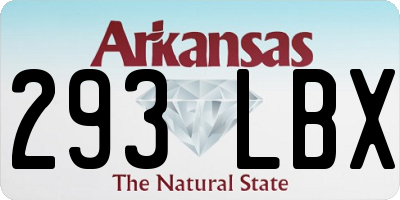 AR license plate 293LBX