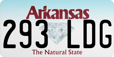 AR license plate 293LDG