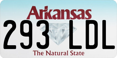 AR license plate 293LDL