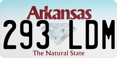 AR license plate 293LDM