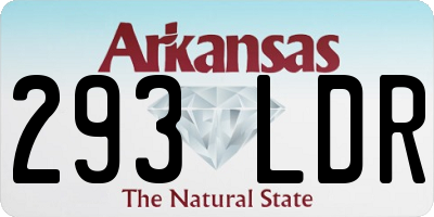 AR license plate 293LDR