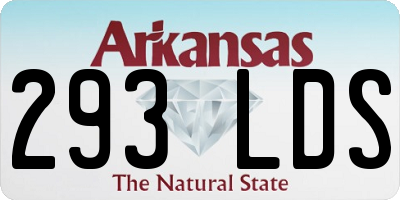 AR license plate 293LDS