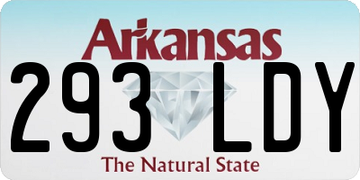 AR license plate 293LDY