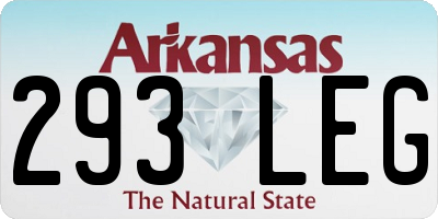 AR license plate 293LEG