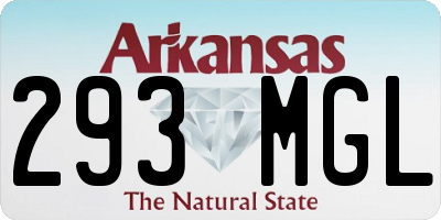 AR license plate 293MGL