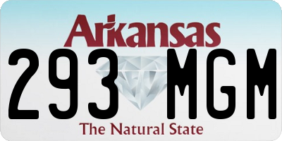 AR license plate 293MGM